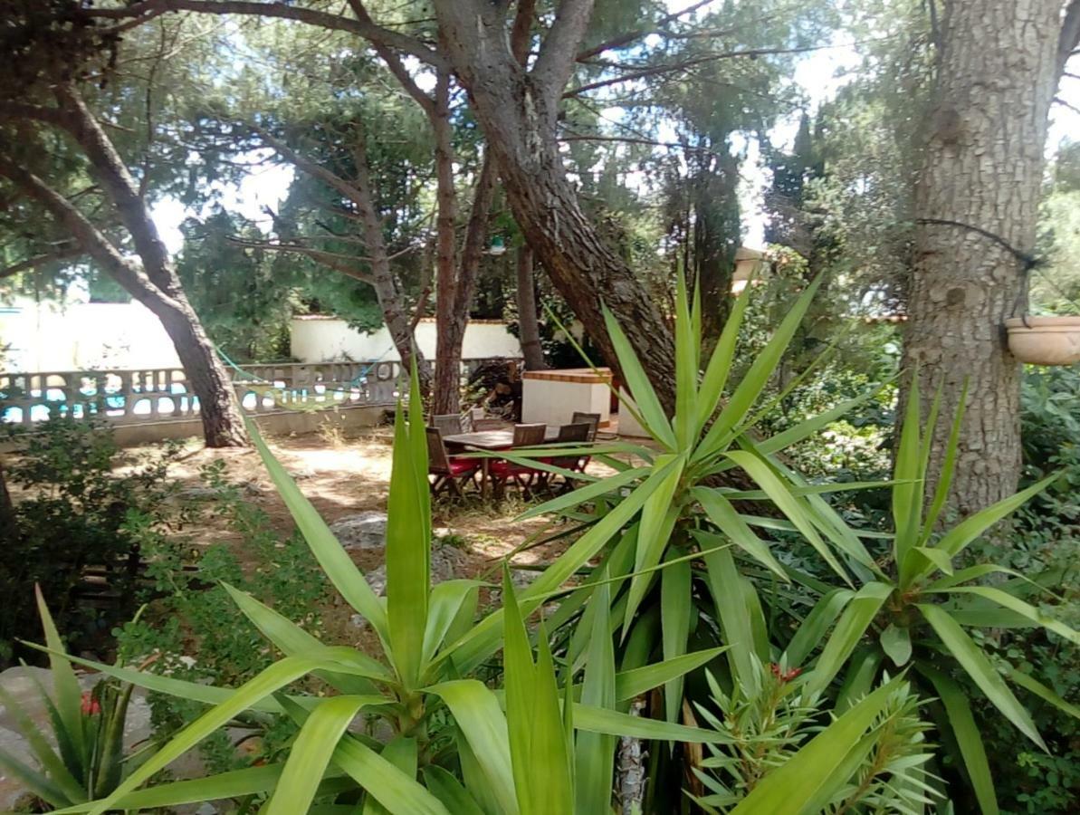 Le Paradis De Valerie Sète Kültér fotó